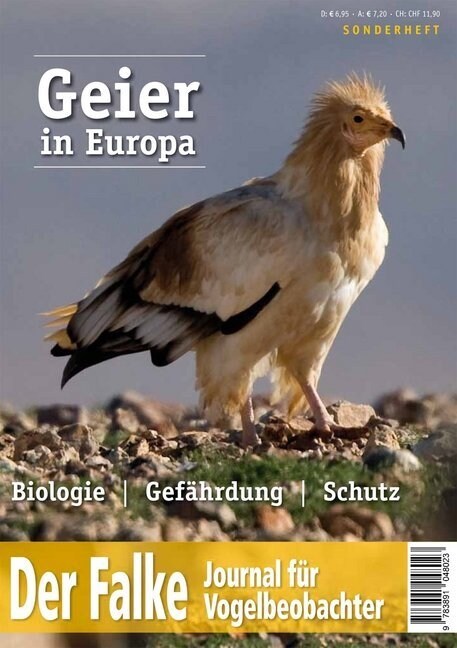 Geier in Europa (Paperback)