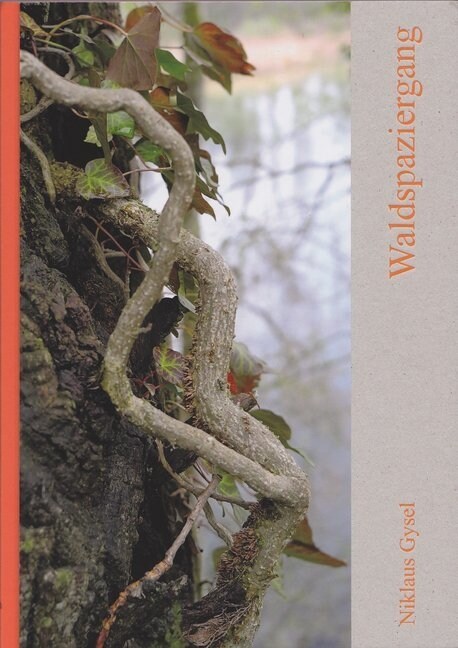 Waldspaziergang (Hardcover)