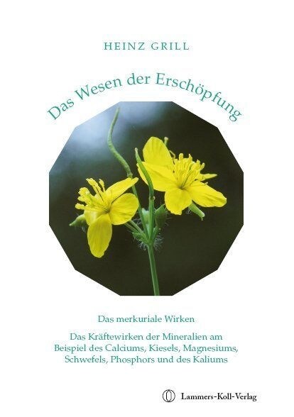 Das Wesen der Erschopfung (Paperback)