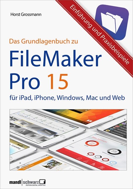 FileMaker 15 (Paperback)