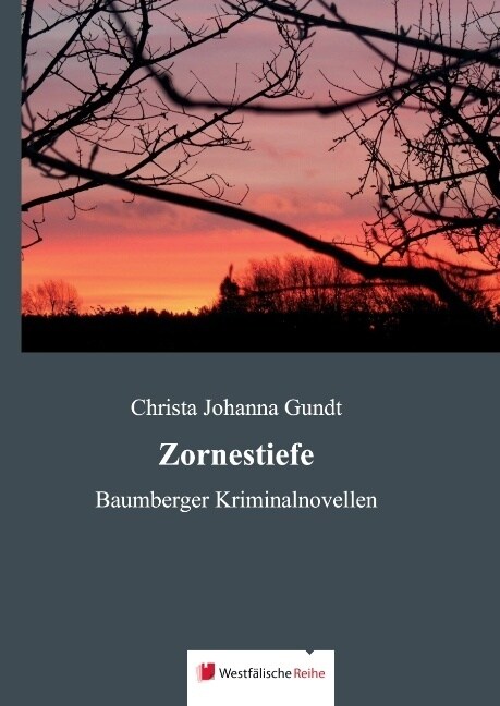 Zornestiefe (Hardcover)