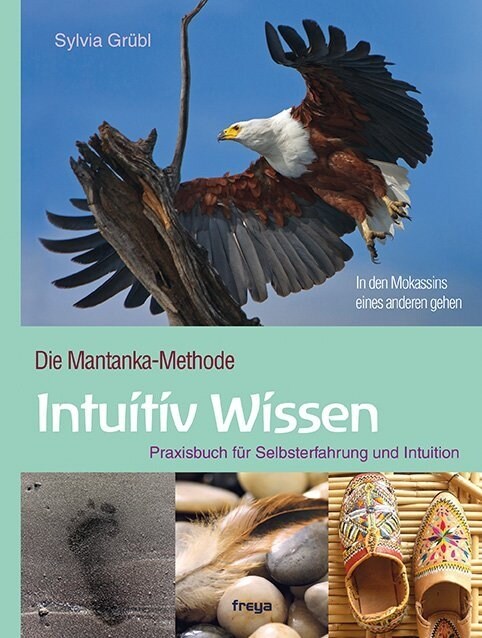 Intuitiv Wissen (Paperback)