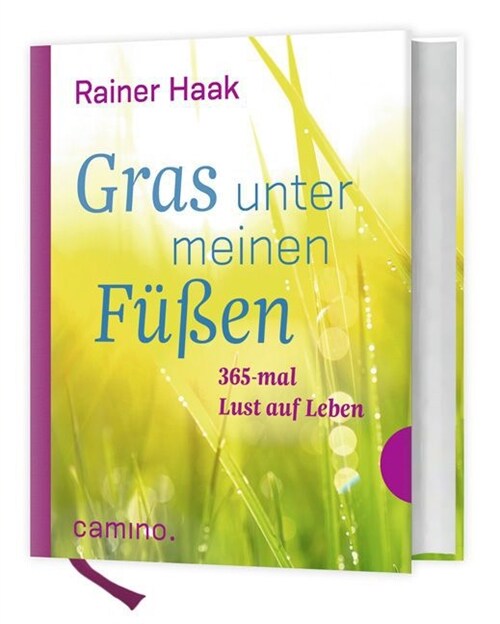 Gras unter meinen Fußen (Hardcover)