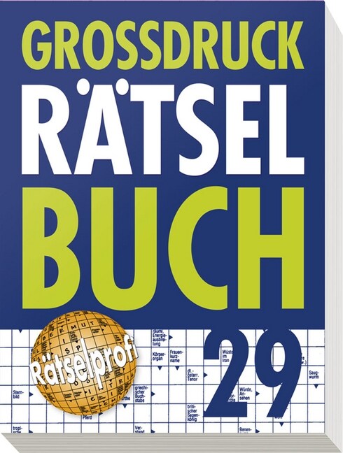 Großdruck Ratselbuch. Bd. 29 (Paperback)