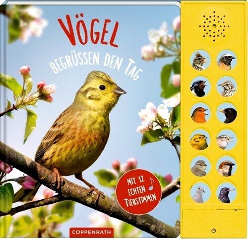 Vogel begrußen den Tag, m. Soundeffekten (Board Book)