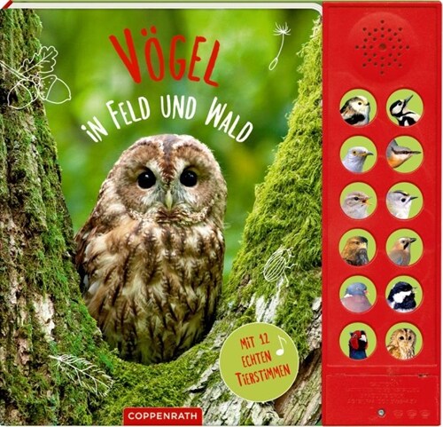Vogel in Feld und Wald, m. Soundeffekten (Board Book)