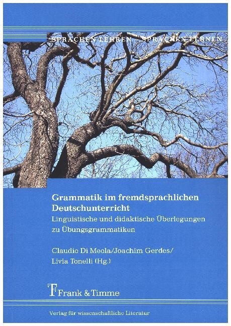 Grammatik im fremdsprachlichen Deutschunterricht (Paperback)