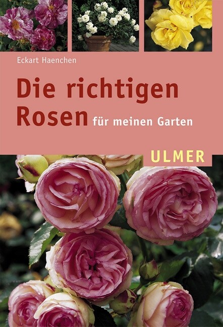 Die richtigen Rosen fur meinen Garten (Paperback)