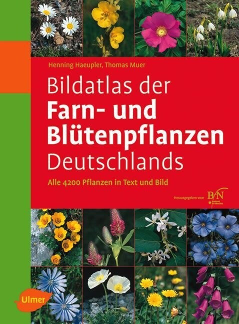 Bildatlas der Farn- und Blutenpflanzen Deutschlands (Hardcover)
