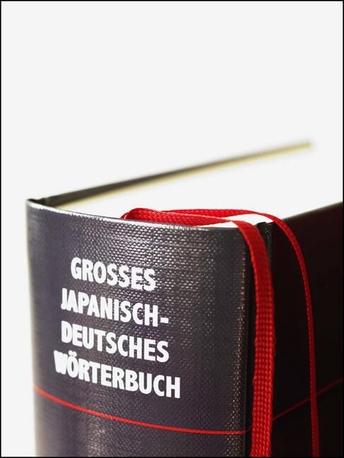 Großes japanisch-deutsches Worterbuch. Bd.2 (Hardcover)