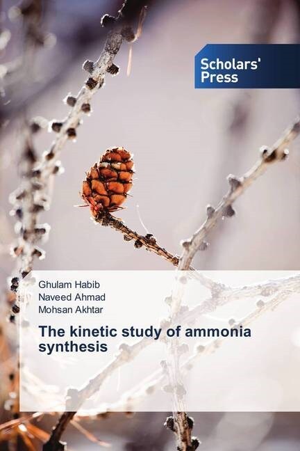 The kinetic study of ammonia synthesis (Paperback)