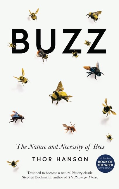 Buzz (Paperback)