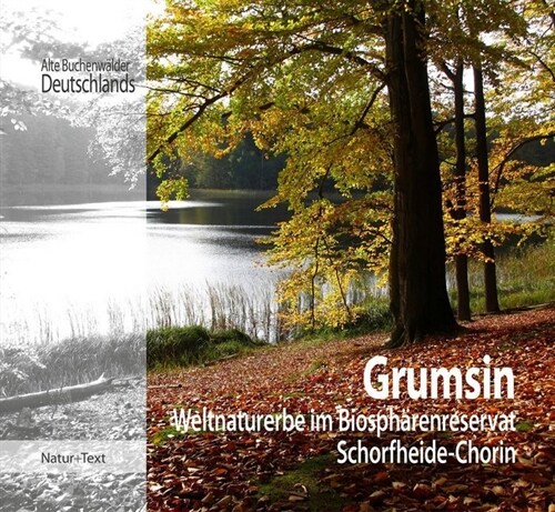 Grumsin (Hardcover)