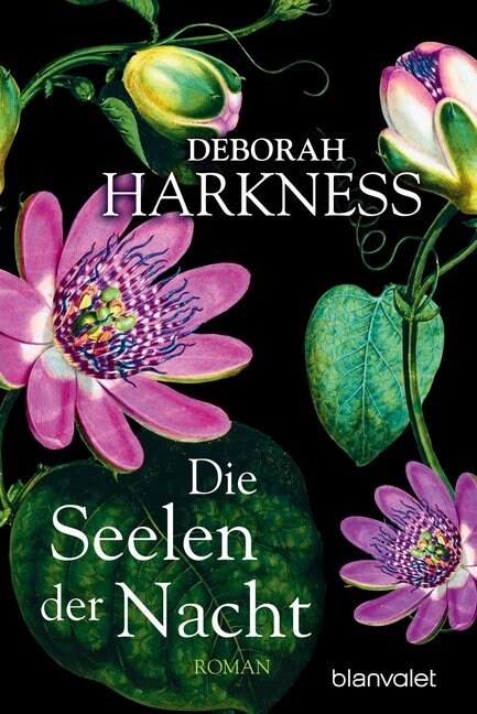 Die Seelen der Nacht (Paperback)