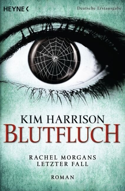 Blutfluch (Paperback)