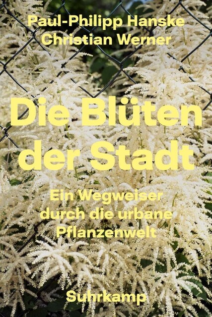 Die Bluten der Stadt (Hardcover)