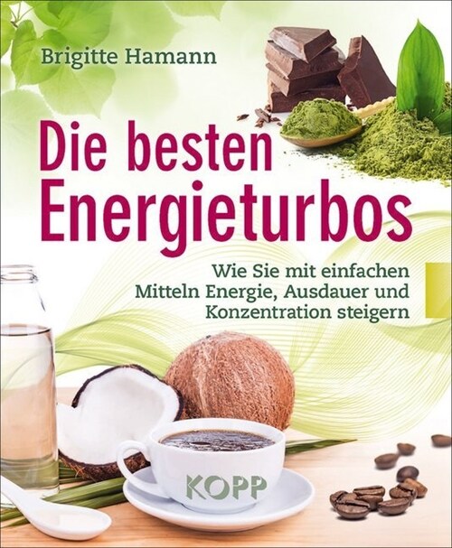 Die besten Energieturbos (Paperback)