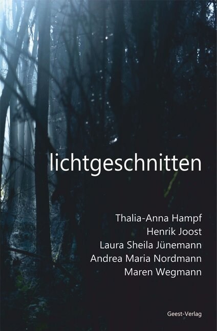 lichtgeschnitten (Paperback)