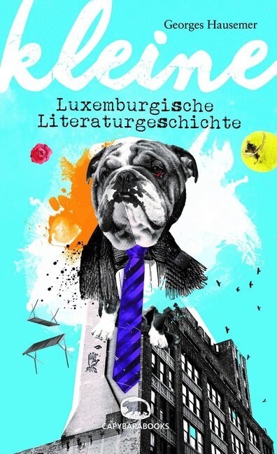 Kleine luxemburgische Literaturgeschichte (Paperback)