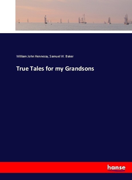 True Tales for my Grandsons (Paperback)