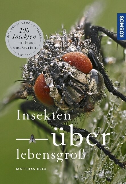 Insekten uberlebensgroß (Paperback)