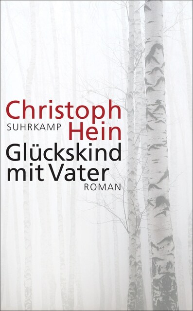 [중고] Gluckskind mit Vater (Paperback)