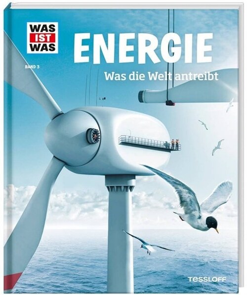 Energie. Was die Welt antreibt (Hardcover)