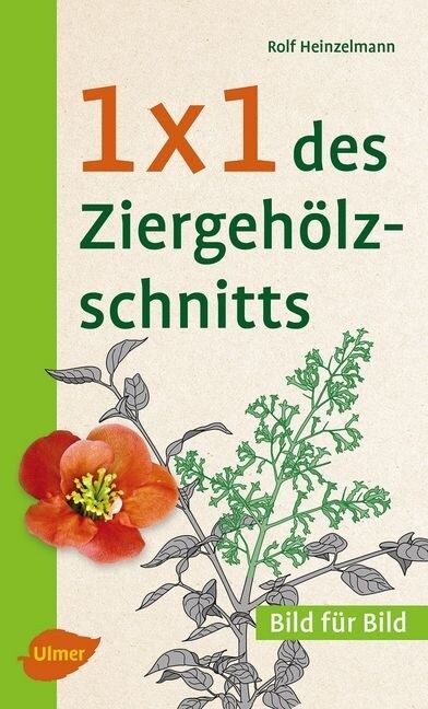 1 x 1 des Ziergeholzschnitts (Paperback)