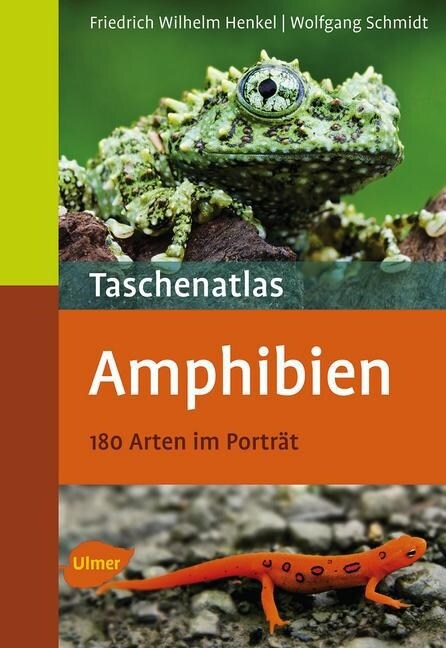Taschenatlas Amphibien (Paperback)