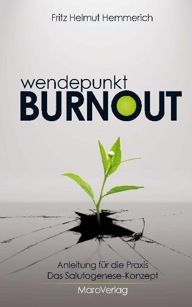 Wendepunkt Burnout (Hardcover)