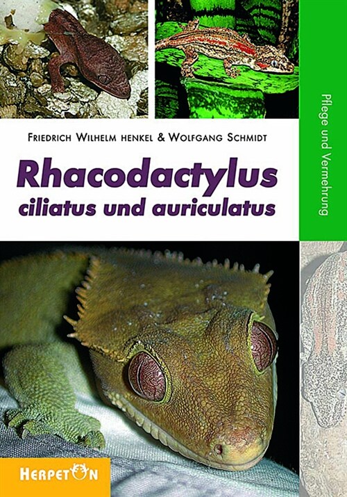 Rhacodactylus ciliatus und auriculatus (Paperback)