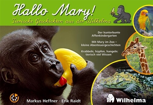 Hallo Mary!. Bd.2 (Hardcover)