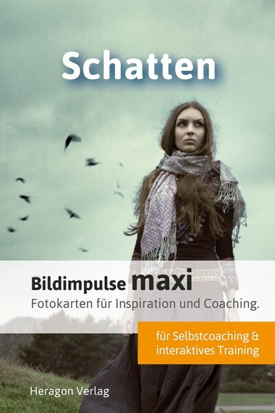 Bildimpulse maxi: Schatten, Karten (Cards)