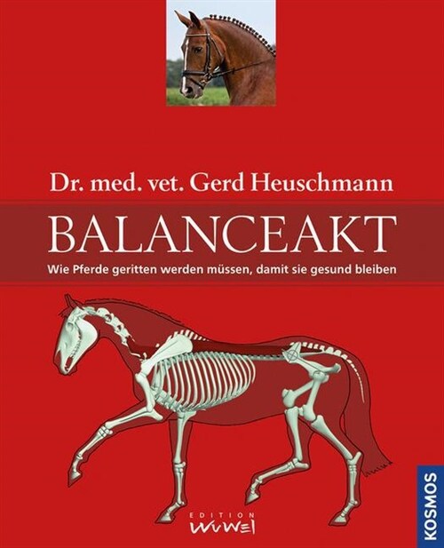 Balanceakt (Hardcover)