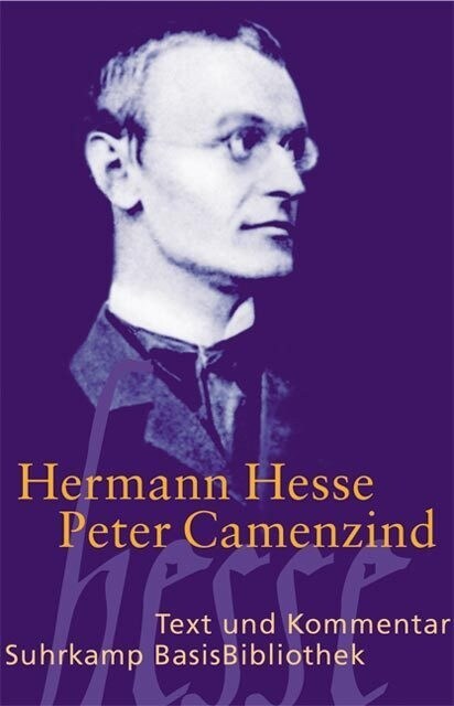 Peter Camenzind (Paperback)