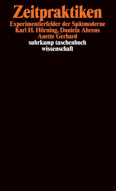 Zeitpraktiken (Paperback)