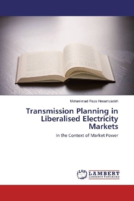 Transmission Planning in Liberalised Electricity Markets (Paperback)