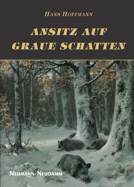 Ansitz auf graue Schatten (Hardcover)