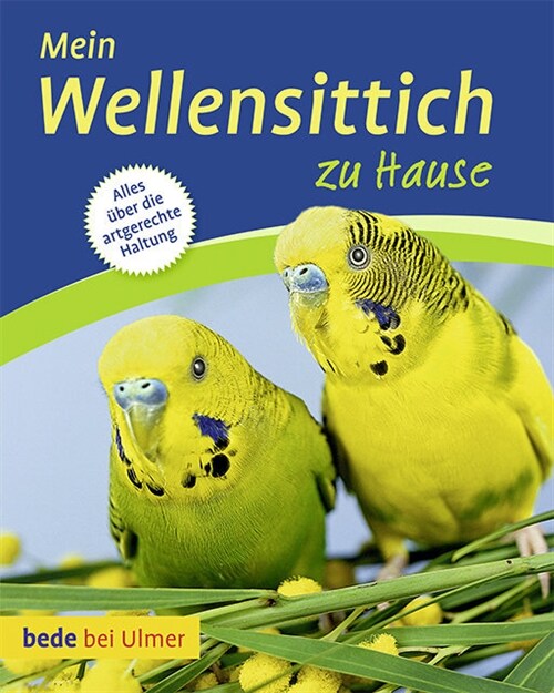 Mein Wellensittich zu Hause (Paperback)