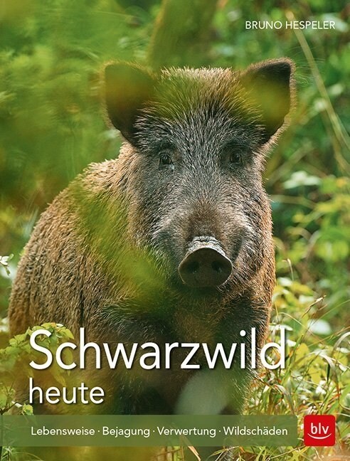 Schwarzwild heute (Paperback)
