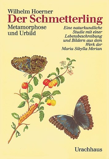 Der Schmetterling (Hardcover)