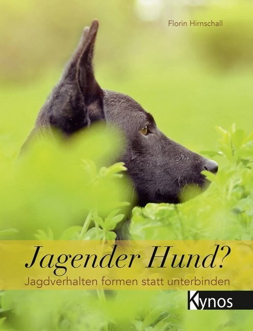 Jagender Hund？ (Hardcover)