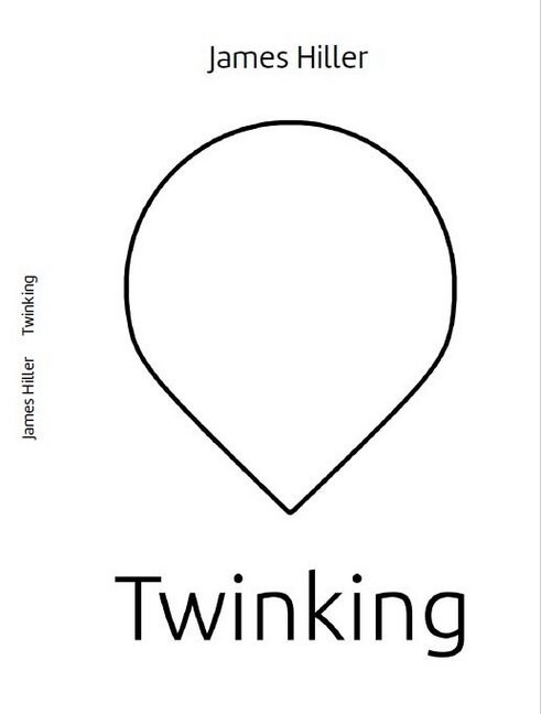 Twinking (Paperback)