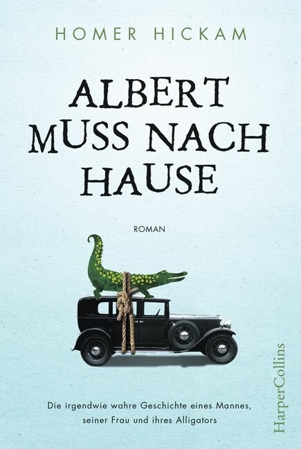 Albert muss nach Hause (Paperback)