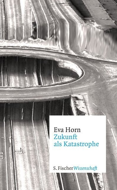 Zukunft als Katastrophe (Hardcover)