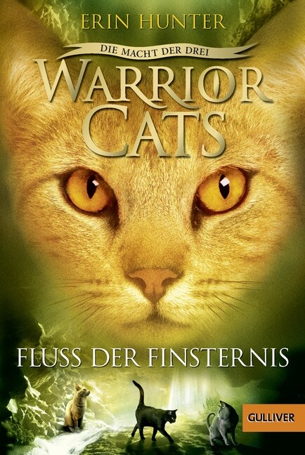 Warrior Cats, Die Macht der drei, Fluss der Finsternis (Paperback)