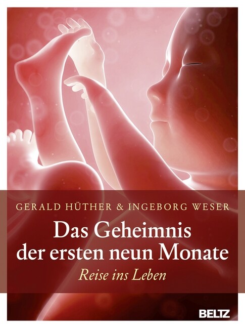 Das Geheimnis der ersten neun Monate (Hardcover)