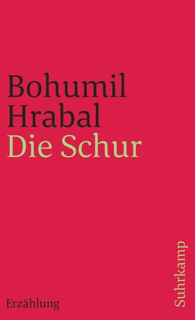Die Schur (Paperback)