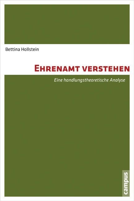 Ehrenamt verstehen (Paperback)