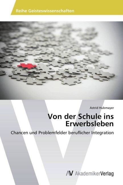 Von der Schule ins Erwerbsleben (Paperback)